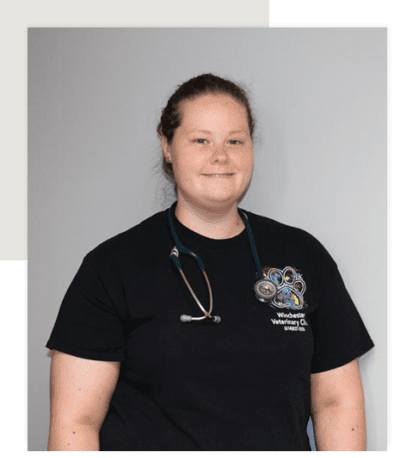 Our Veterinarian | Winchester Veterinary Clinic