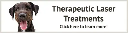 Therapeutic Laser Treatments