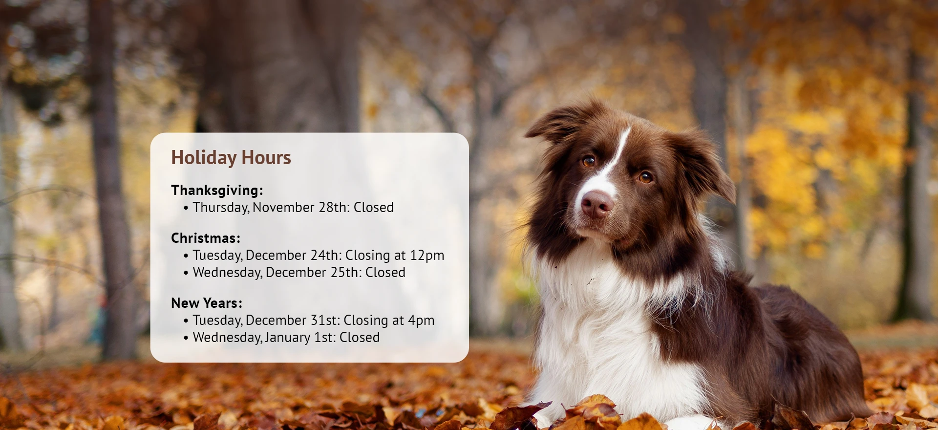 Holiday hours notice: Thanksgiving - Closed on 11/28. Christmas - Closing at 12pm on 11/24. Closed on 11/25. New Years: Closing at 4pm on 12/31. Closed on 1/1.