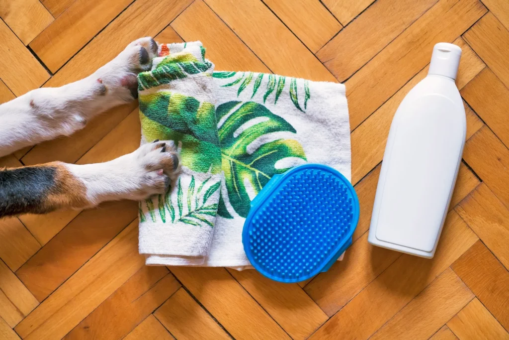 A shot of dog grooming items on a wooden floor with dog paws resting on the towel.